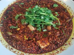 -胖大姐黄辣丁鱼庄(新津店)