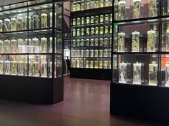 -广东中医药博物馆
