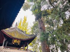 -成都武侯祠博物馆