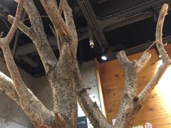 -茶颜悦色(平和堂负一楼店)