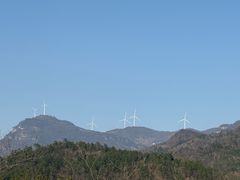 -蔡林记(广埠屯店)