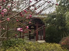 -武汉园博园(武汉自然博物馆)