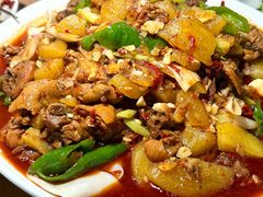 -新疆食府(华龙店)