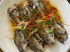 -小叶大馅饺子城