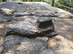 -溪口-滕头旅游景区