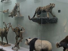 -国家自然博物馆