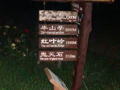 -鬼笑石后山停车场