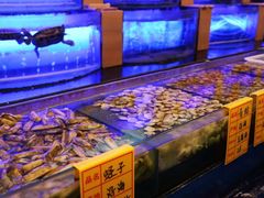 水产区-东方之珠海鲜酒楼(南开店)