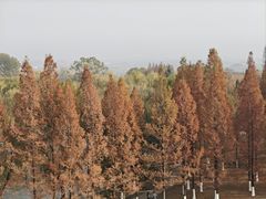 -济南植物园