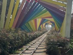 -合肥滨湖国家森林公园