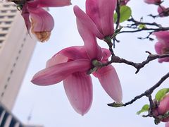 -军事博物馆(地铁站)