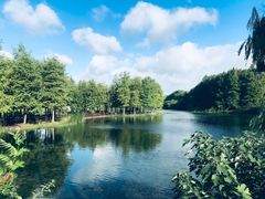 -梁鸿国家湿地公园