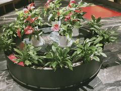 -大鸭梨烤鸭(枣园店)