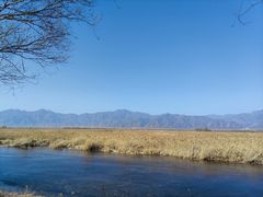 -野鸭湖国家湿地公园