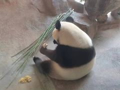 -宁波野生动物园