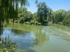 -济南大明湖景区