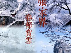 -张家界天门山国家森林公园