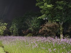 -北高峰