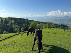 -新疆那拉提国家旅游度假区