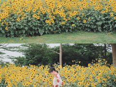 -二沙岛艺术公园