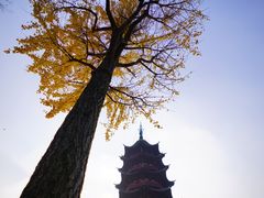 -盘门景区