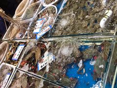 -旺角小渔村·海肠捞饭开创者(环山路店)