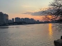 -江心屿景区