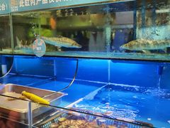 水产区-喜庭海鲜自助(来福士店)