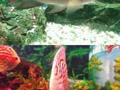 -多彩贵州城极地海洋世界