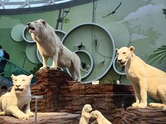 -陕西自然博物馆