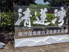 -大湾区中央湿地公园