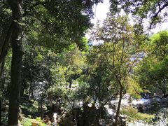 -伯先公园