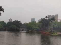 -荔湾湖公园