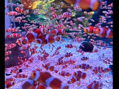 -成都浩海立方海洋公园