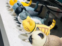 -之悦咖啡馆(新星宇·之洲店)