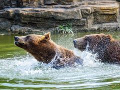 -杭州野生动物世界