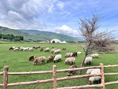 -新疆那拉提国家旅游度假区