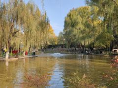 -西安市长乐公园