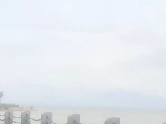 -深圳湾公园(南山区)
