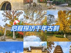-灵谷景区