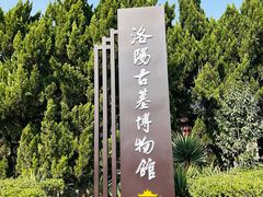 -洛阳古墓博物馆