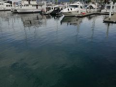 -东姑阿都拉曼海洋公园