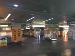 -捷运美丽岛站(The Dome of Light)