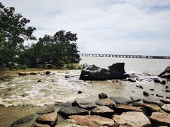 -宝安西湾红树林湿地公园