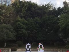 -成都保利公园皇冠假日酒店(熊猫基地店)