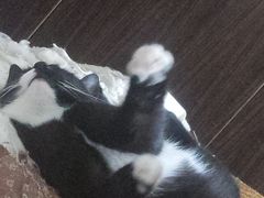 -S Team剧情密室(杭州龙翔桥店)