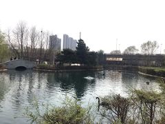 -长白岛森林公园