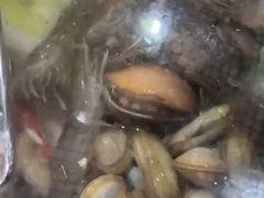 -原味蒸汽海鲜(嵊泗店)