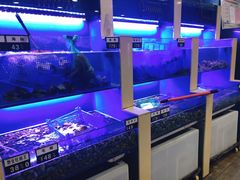 水产区-老虎滩大连海鲜烧烤(建邺云锦路总店)