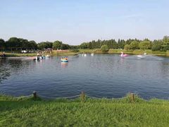 -太阳岛度假酒店